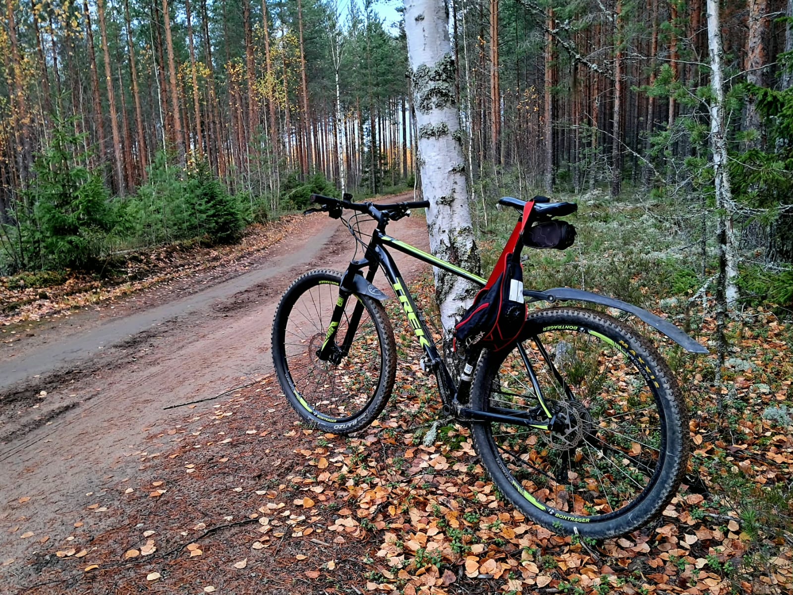 Gravelia aikaisin aamulla!