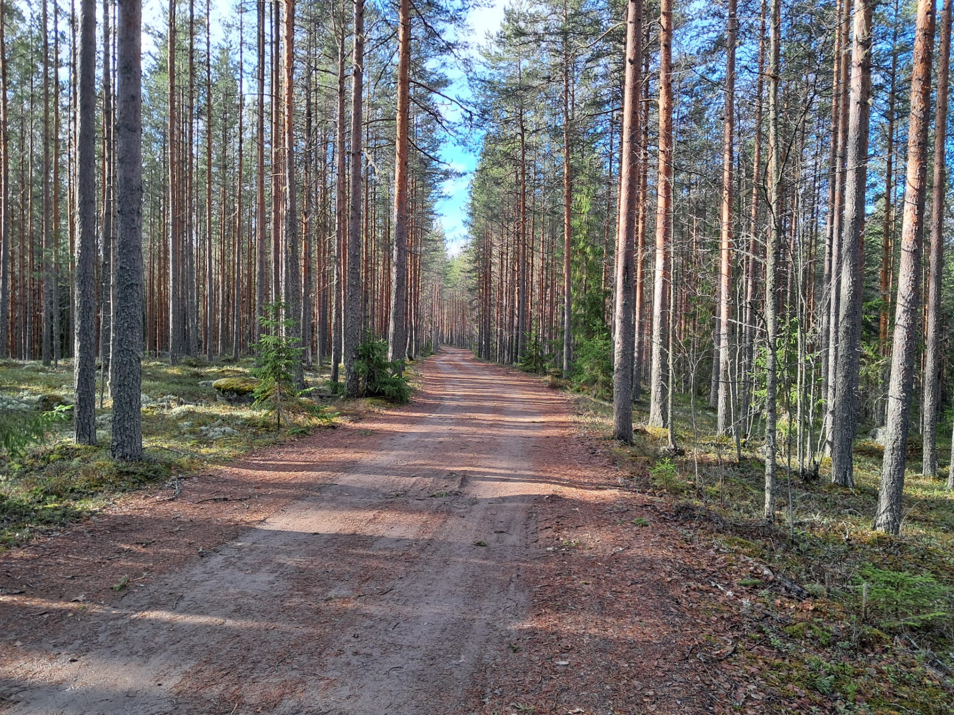 Mukavaa on näitä nyt ajella!